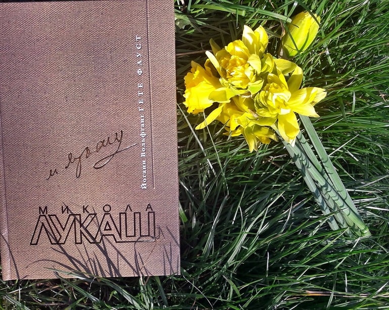 Рецензія на книгу Йоганн Вольфґанґ фон Ґете «Фауст» від @IKnigi.ua